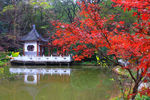 栖霞山红叶 栖霞古寺