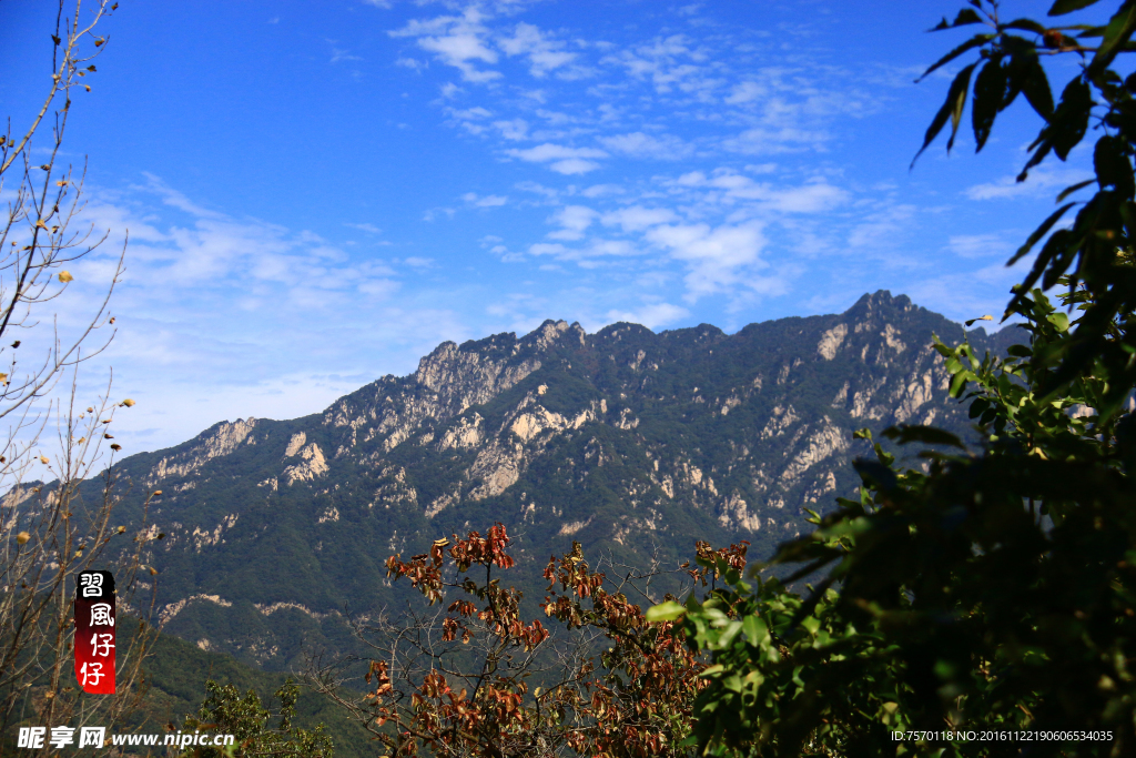 大山风景