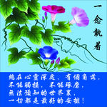 牵牛花 水墨花卉 花藤 喇叭花