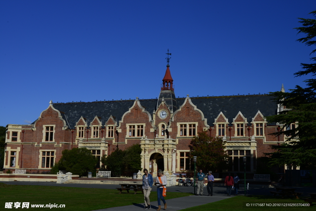 新西兰大学