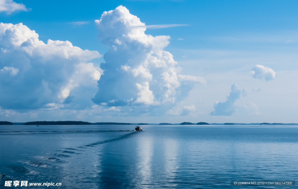 海