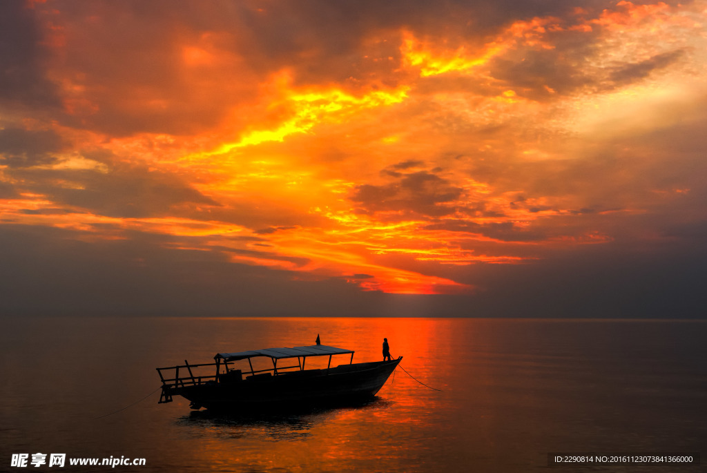 海