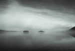 树