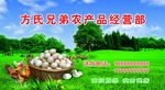 背景 农产品 鸡蛋 蓝天白云