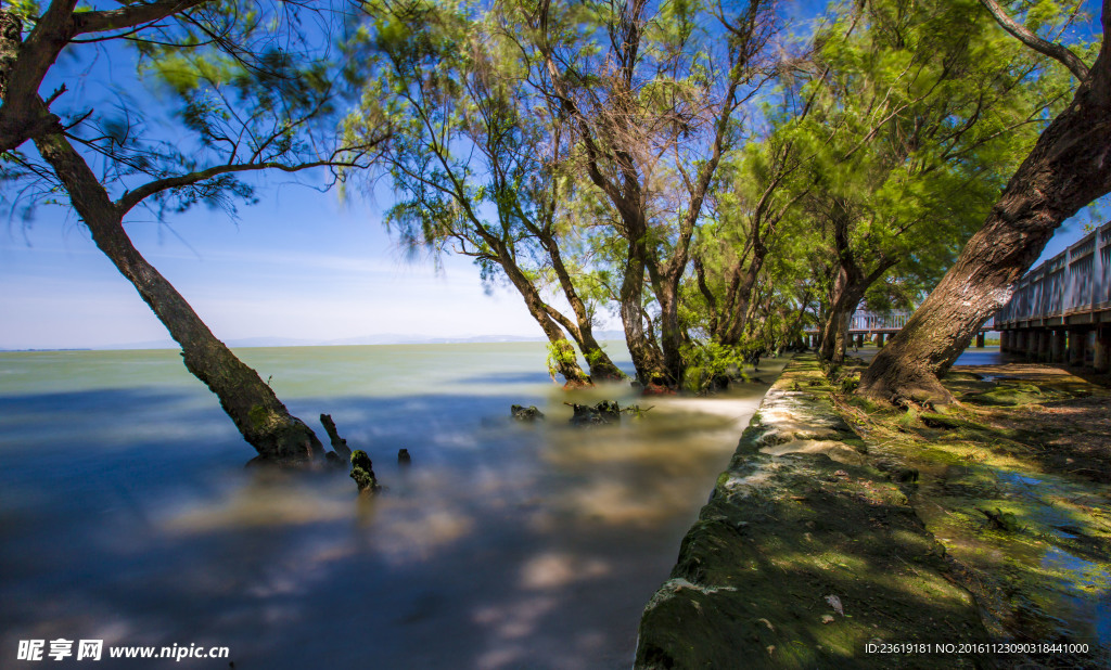 捞鱼河湿地