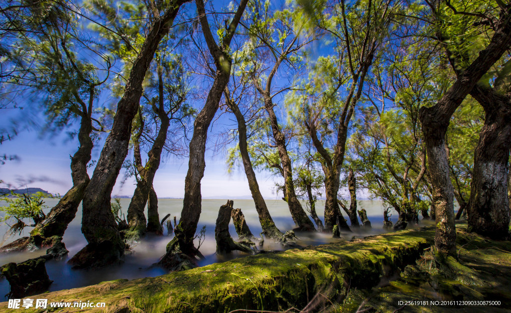 捞鱼河湿地