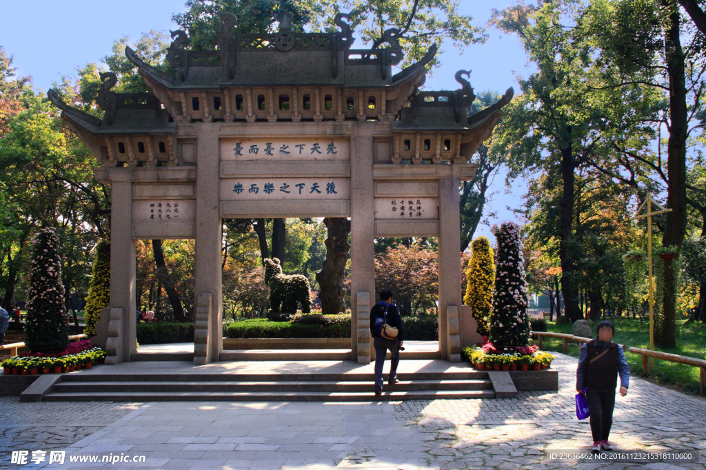 天平山红枫