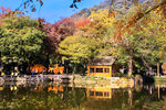 天平山红枫