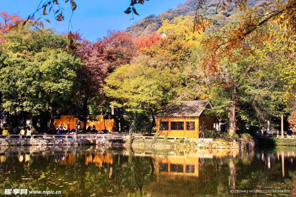 天平山红枫