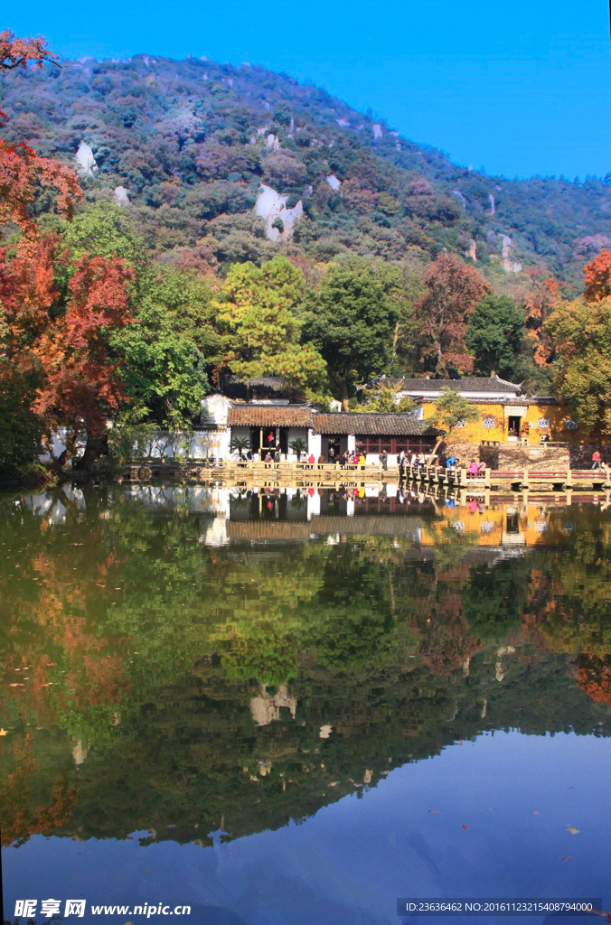 天平山红枫