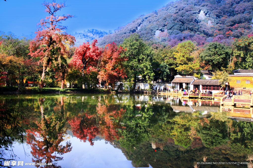 天平山红枫