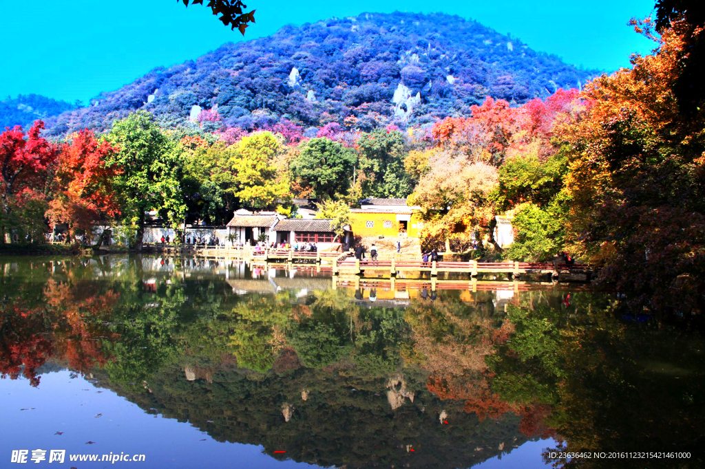 天平山红枫