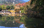 天平山红枫