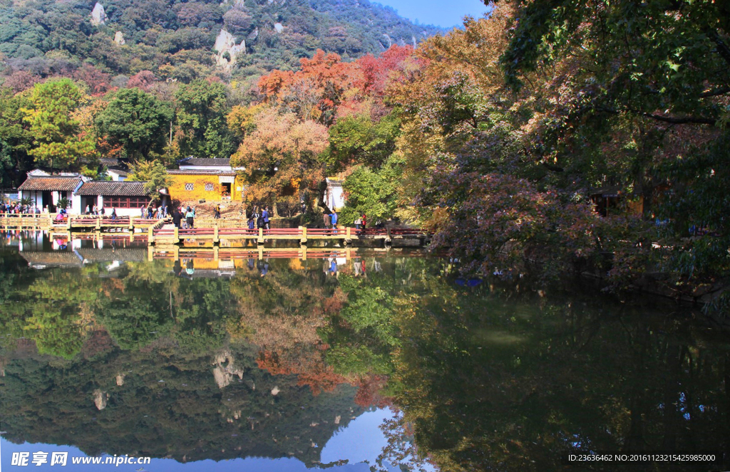 天平山红枫