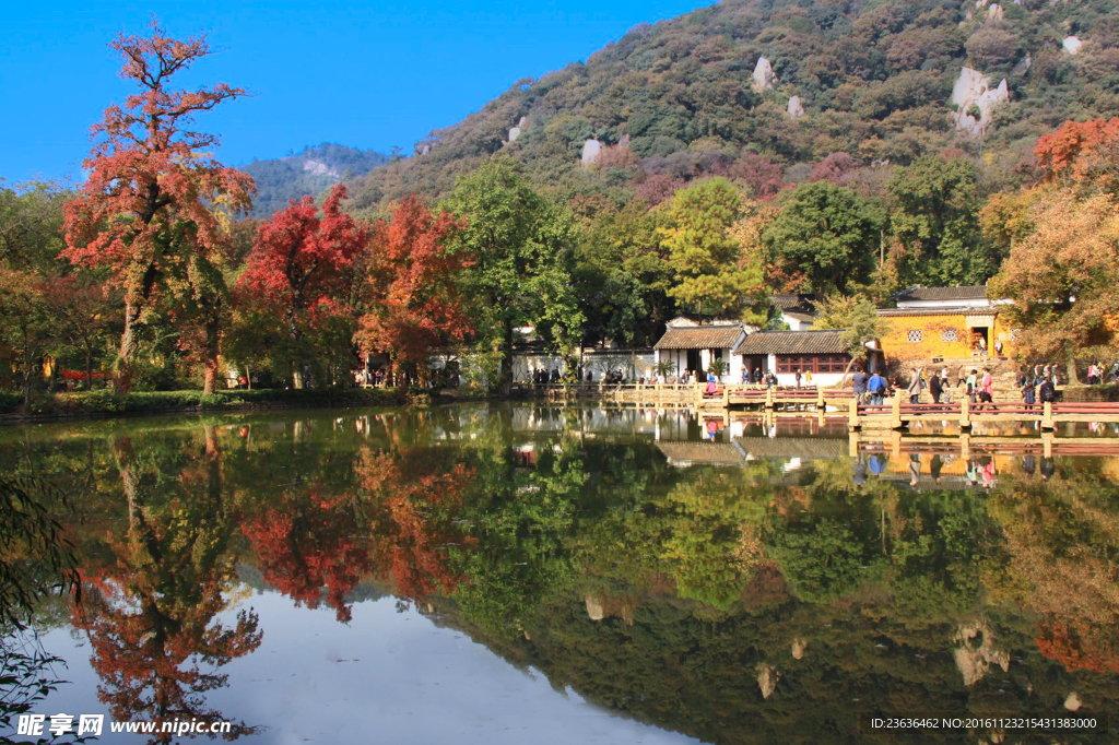 天平山红枫