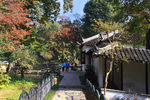 天平山红枫