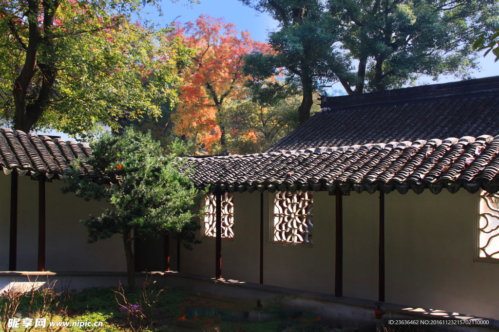 天平山红枫