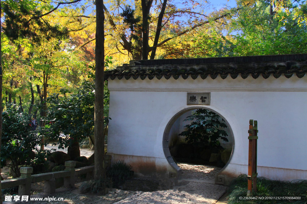 天平山红枫