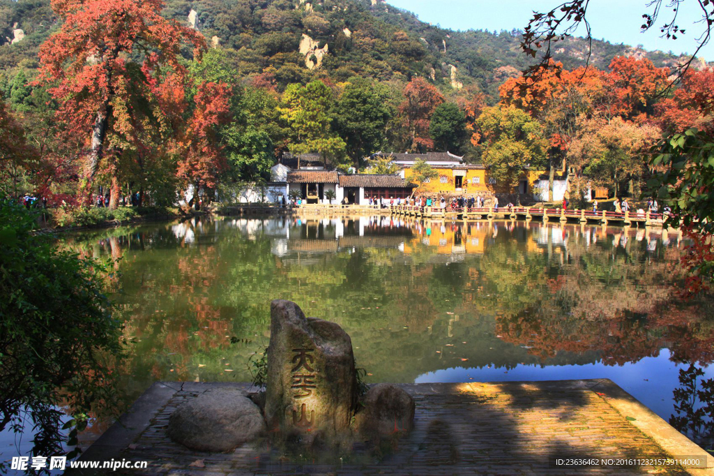 天平山红枫