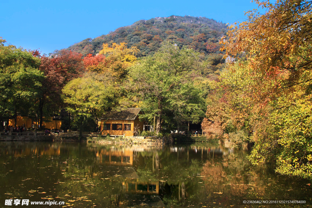 天平山红枫