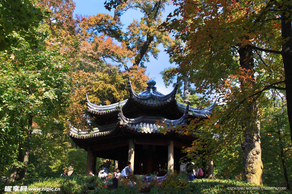 天平山红枫