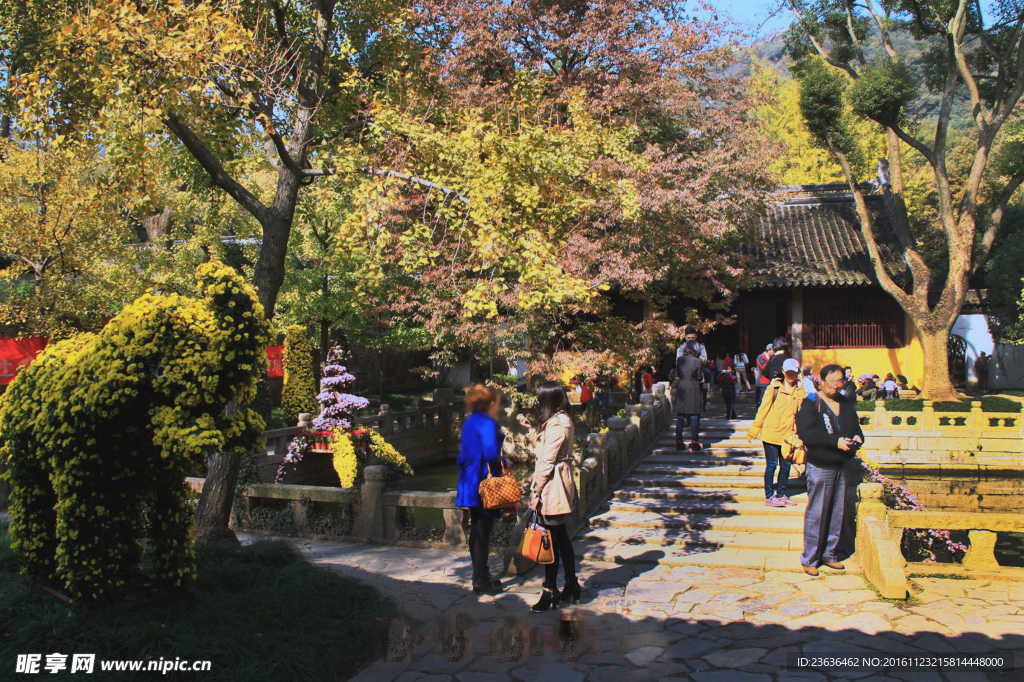 天平山红枫