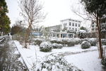 雪中校园