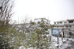 校园雪景