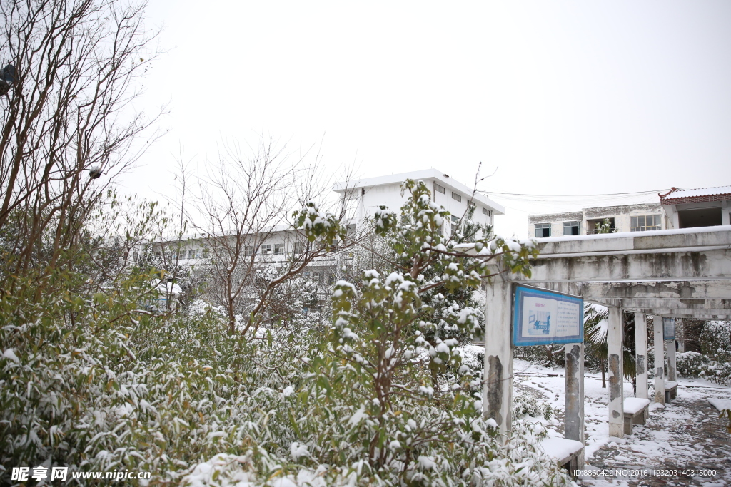 校园雪景