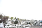 雪中校园