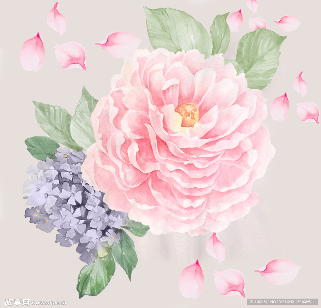 手绘水彩花卉