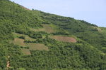 山上梯田