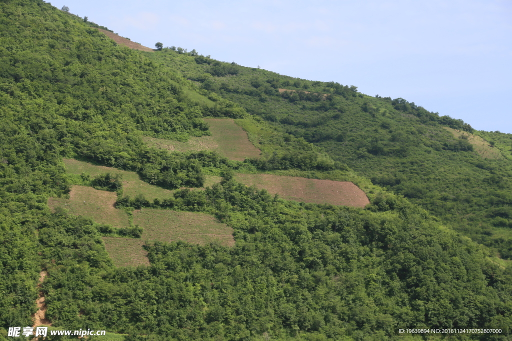 山上梯田