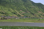 青山绿水