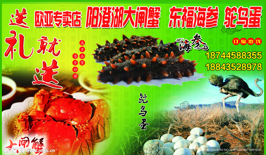 阳澄湖大闸蟹宣传