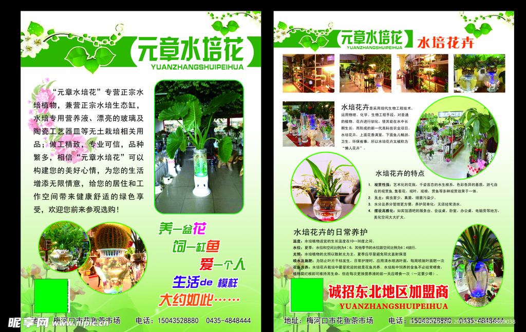 宜家花卉宣传单