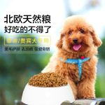 自然背景清新健康天然狗粮主图