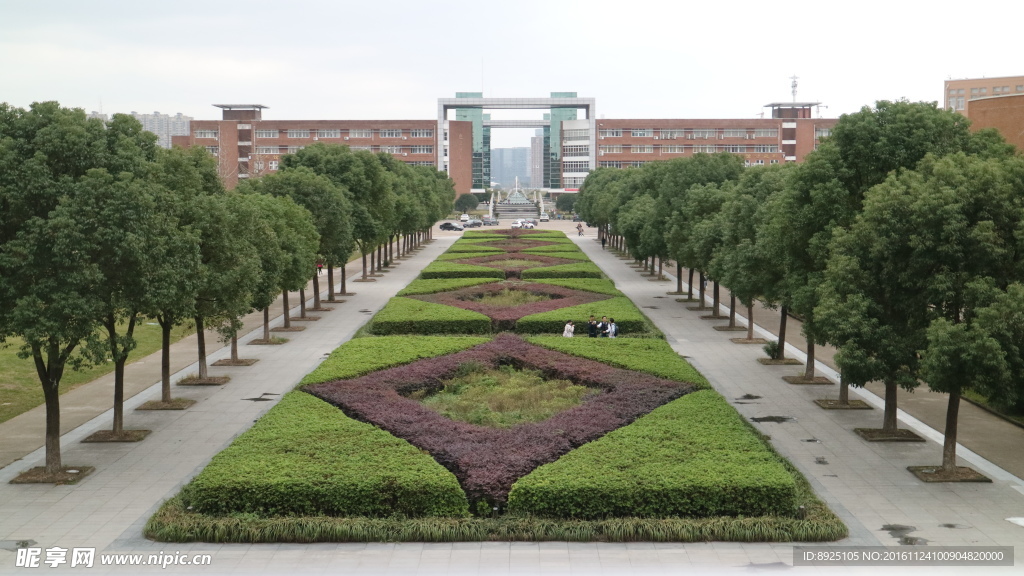 宁波大学花圃花型