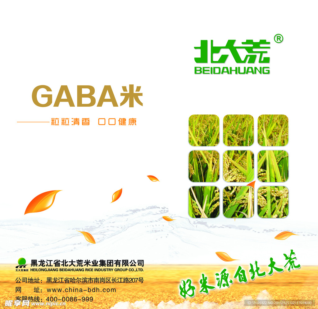 北大荒 GABA米