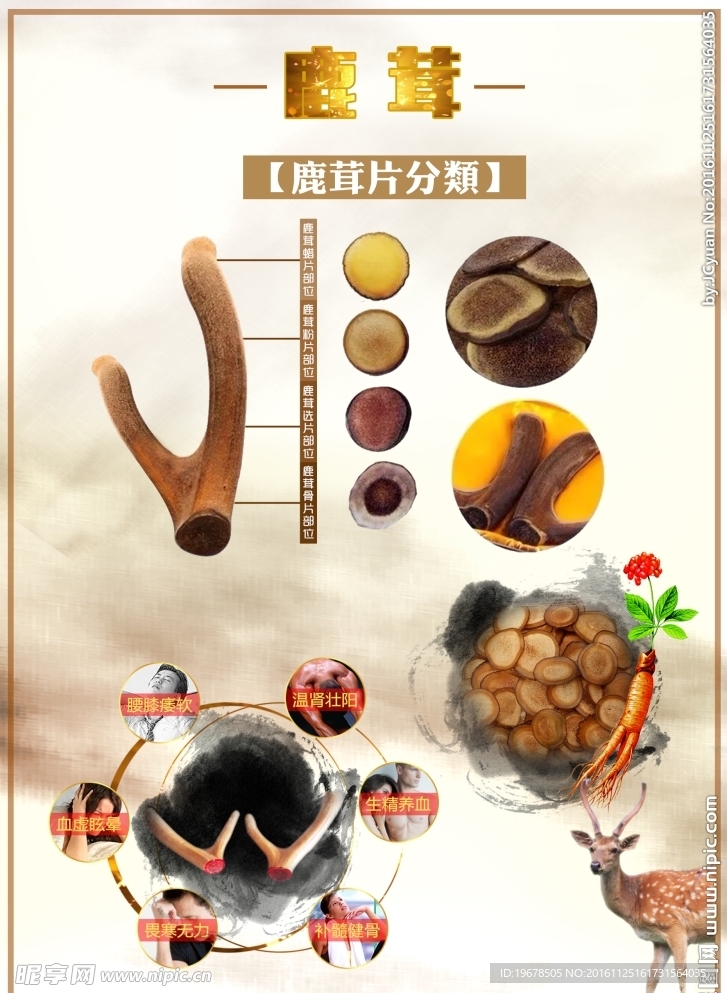 鹿茸