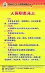 人员职责分工