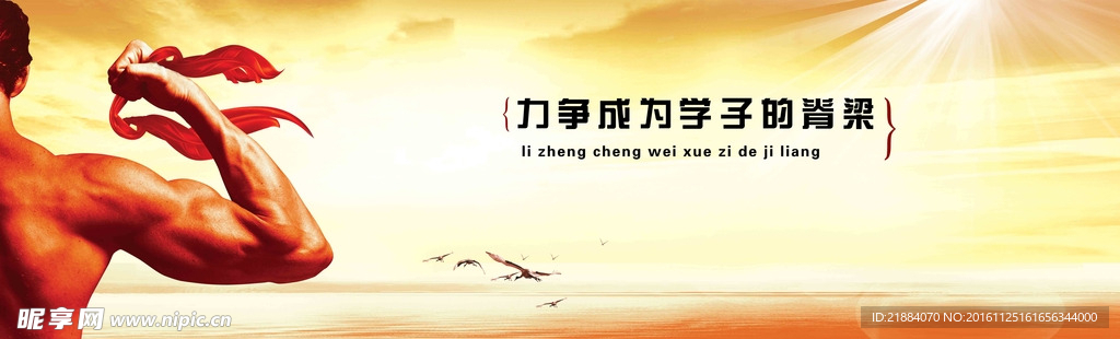 脊梁