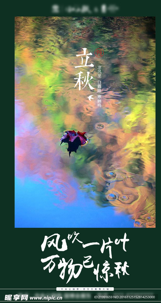 立秋节气海报