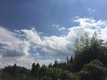 仙境
