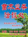 苗木洽谈