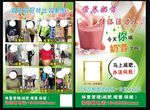 康宝莱减肥 宣传单
