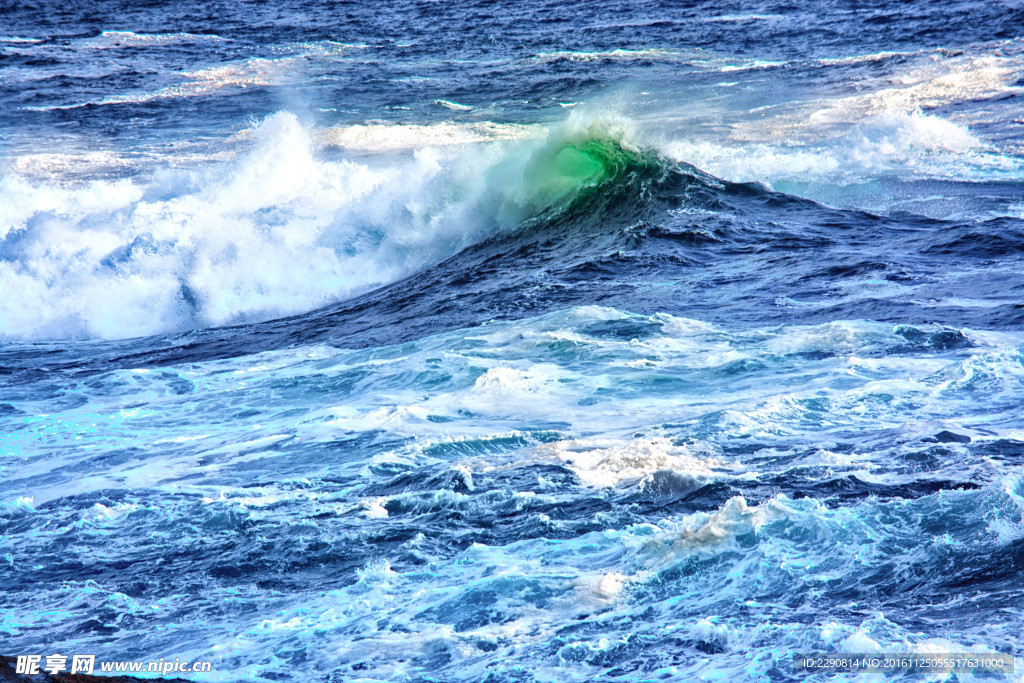 海