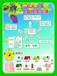 无限极心肝脾肺肾