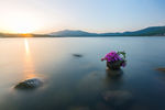 朝霞潘阳湖风景