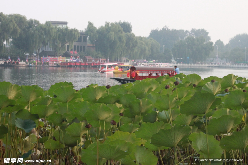 后海